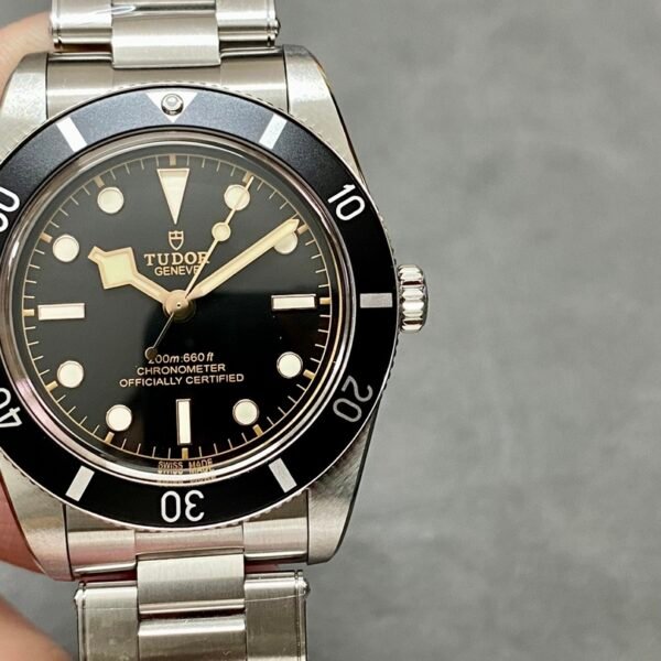 TUDOR Black Bay