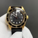 TUDOR Golden Case