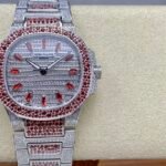 Starry Female Nautilus