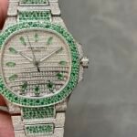 Starry Female Nautilus