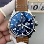 IWC pilot