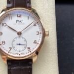 IWC Watches