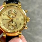 IWC Darwin Chronograph